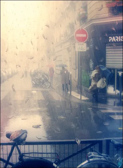 Quelle est la ville la plus peuplée du monde ?