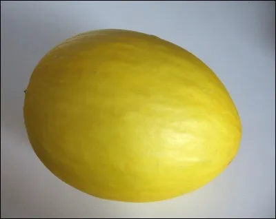 Quelle est cette cucurbitacée ?