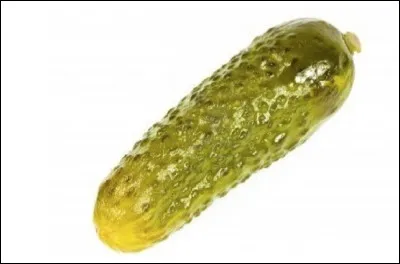 Quelle est cette cucurbitacée ?