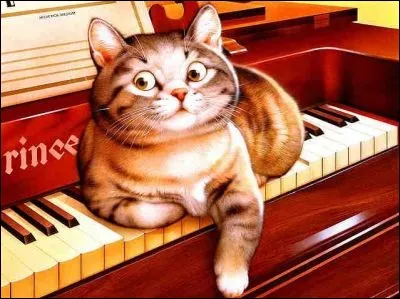 Lequel de ces instruments n'est pas un instrument à clavier ?