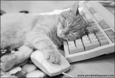 Sur votre clavier (français), sous quel chiffre se trouve le ç ?