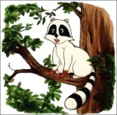 Comment s'appelle son raton laveur ?