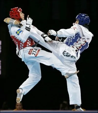 Quelle est la plus grande compétition d'Europe ?