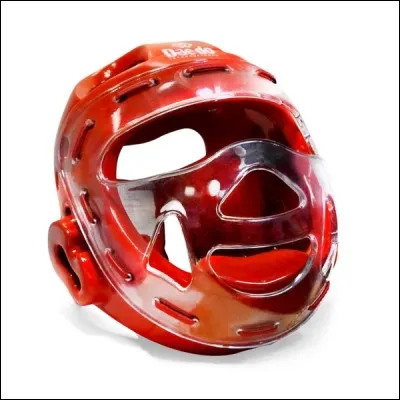 Quelle est la plus grande équipe nationale du monde ?