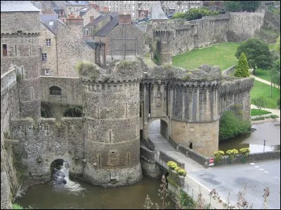 Nous nous promenons en Bretagne. Je trouve une ville d'Ille-et-Vilaine qui a le nom d'une plante. Quelle est cette ville ?