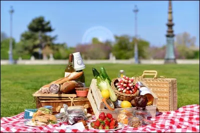 Si je vous invite &agrave; faire un pic-nique, que pensez-vous ?
