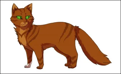 Qui aime Source aux Petits Poissons ?