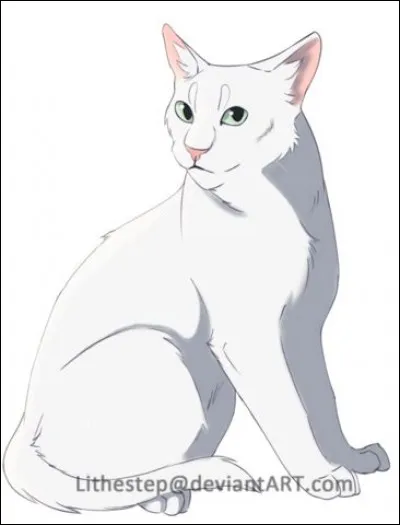 Qui meurt lors de l'attaque des blaireaux ?