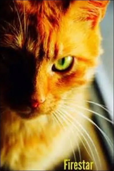 Poil d'&Eacute;cureuil re&ccedil;oit son nom de guerri&egrave;re dans...