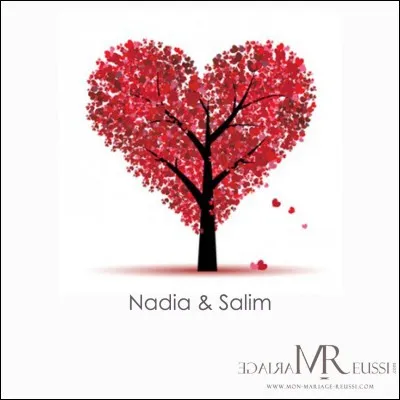 Que se passe-t-il dans l'histoire ?