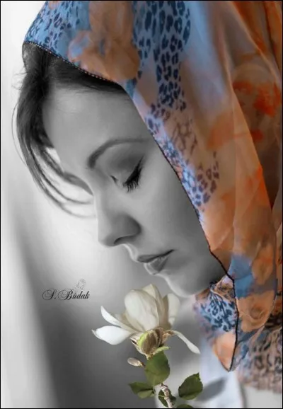 Que dire, si vous avez raté ce quiz ?