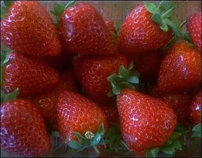 Quel est le nom de ces fraises ?