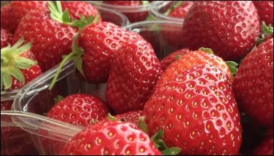 Quelle est la variété de ces fraises ?