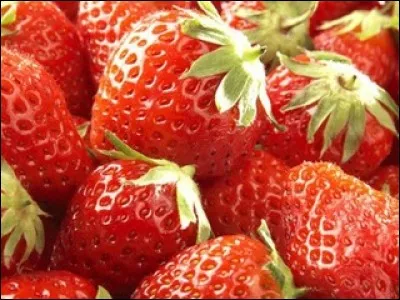 Quelle est la variété de ces fraises ?