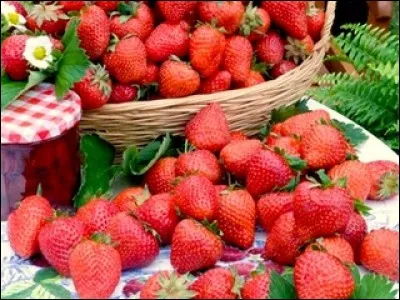Quel est le nom de ces fraises ?