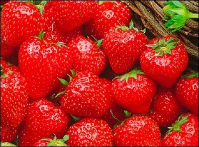 Quelle est la variété de ces fraises ?