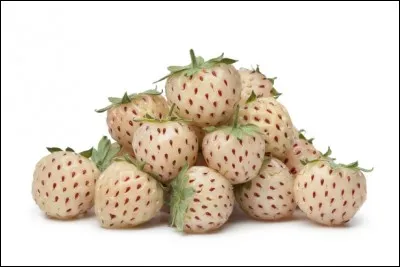 Quel est le nom de ces fraises ?