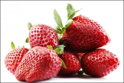 Quelle est la variété de ces fraises ?