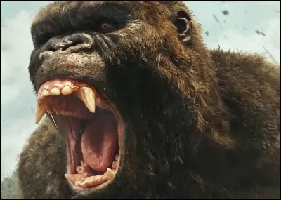 Qui est l'auteur de "King Kong" ?