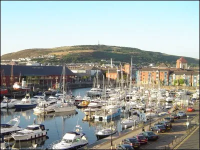 Quelle est la densité de la ville de Swansea ?