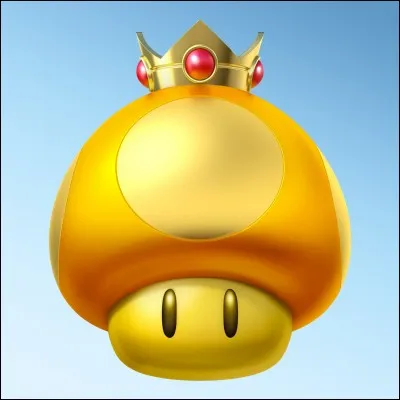 Quel est cet objet ?