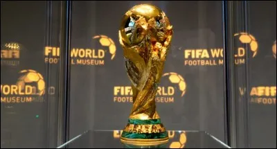 Quel nation gagna la Coupe du monde 2010 ?