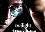 Test Quel est votre personnage ''Harry Potter - Twilight'' ?