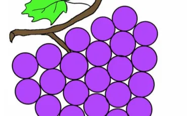 Quiz Nature, écologie
