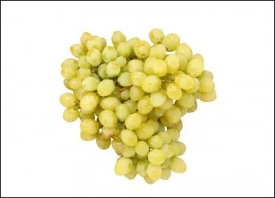 Quel est ce raisin ?