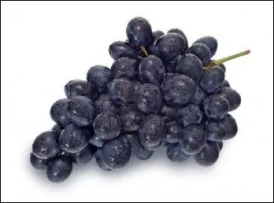 Quelle est cette variété de raisin ?