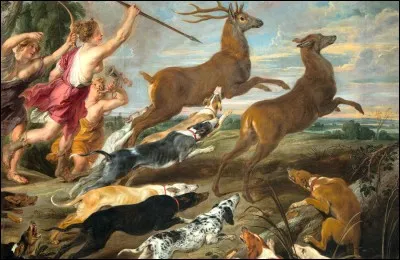 Qui finit par tuer Callisto lors de la chasse ?