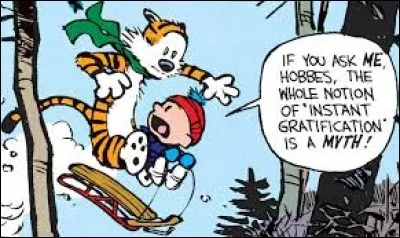 Vous pouvez voir la bande dessinée nommé "Calvin et Hobbes" !