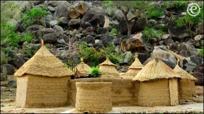 Le Cameroun est surnommé « l'Afrique en jaune ».