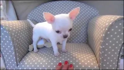 S'il vous offre un verre, c'est qu'il compte bien vous le faire payer, c'est l'...