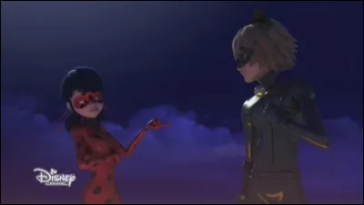 Ladybug et Chat-Noir dans...