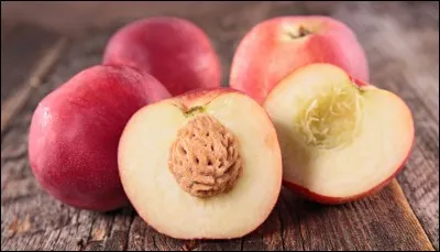 Accord et orthographe. Quelle phrase est correcte ?