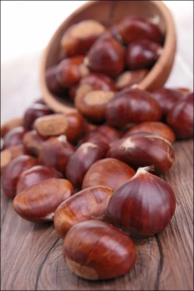 Quelles couleurs faut-il mélanger pour obtenir du marron ?