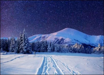 Quelle période préfères-tu dans l'année ?