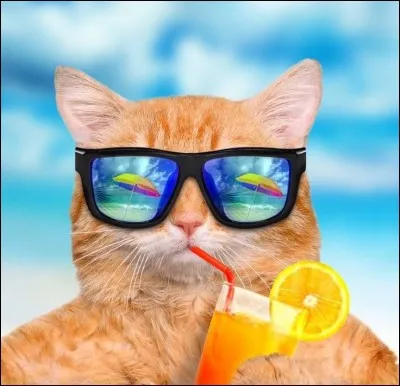 Arts plastiques : Quelles sont les couleurs pour obtenir du marron ?