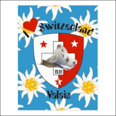 Comment appelle-t-on les habitants du Valais ?