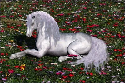 Un ami te dit qu'il a une licorne, tu vois avec surprise que c'est vrai. Quelle est ta réaction ?