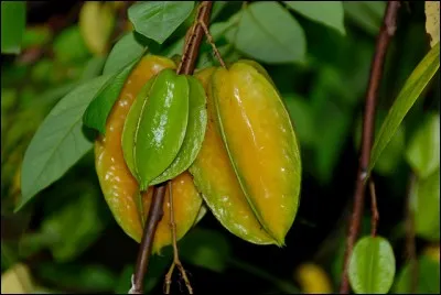 Quel est ce fruit exotique ?