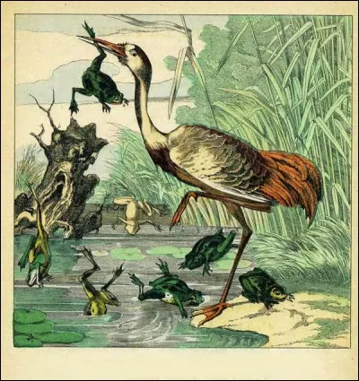 Quelle fable de La Fontaine est représentée ?