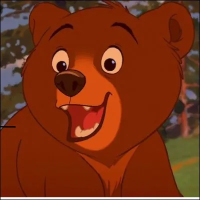 Comment s'appelle le petit nounours ?