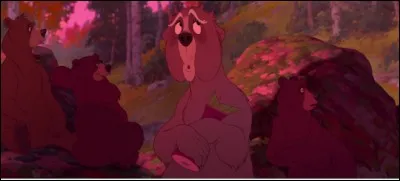 Combien y a-t-il d'ours ? (ce n'est pas obligatoire qu'ils parlent)