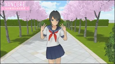 Quels endroits n'existent pas dans le jeu ?