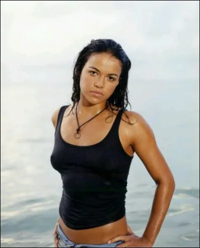 Dans lequel de ces film cette actrice n'a-t-elle pas jou&eacute; ? (Michelle Rodr&iacute;guez)