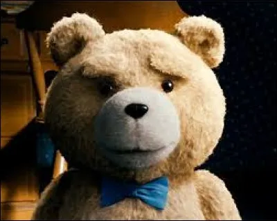 Sur l'image, il porte un nud :