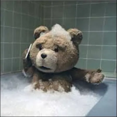 Quel célèbre blogueur faisait des interview dans son bain ?