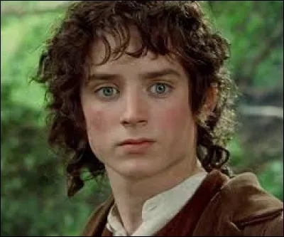 Elijah Wood est associé à la saga...